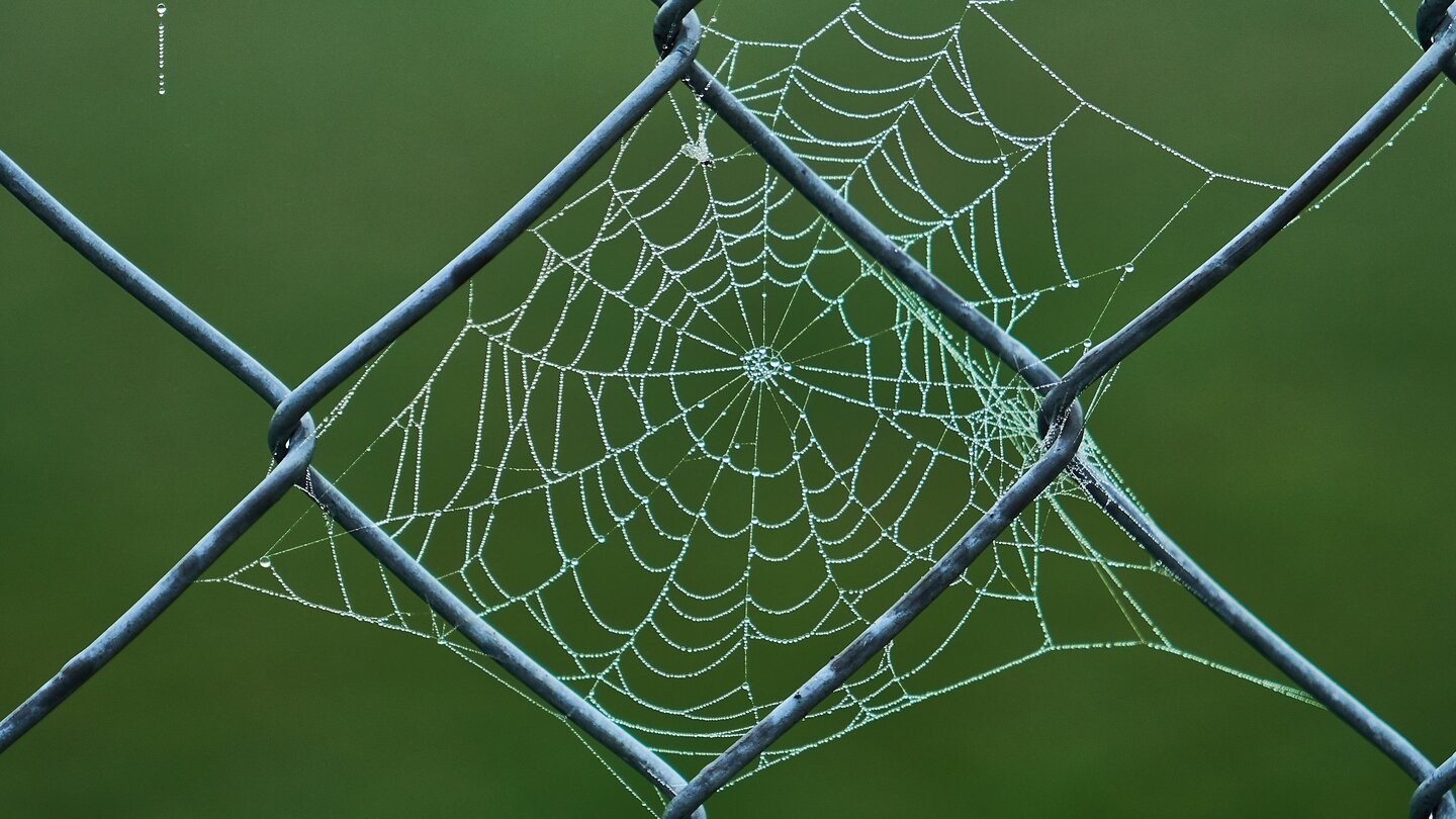 Künstliche Intelligenz in einer analogen Welt