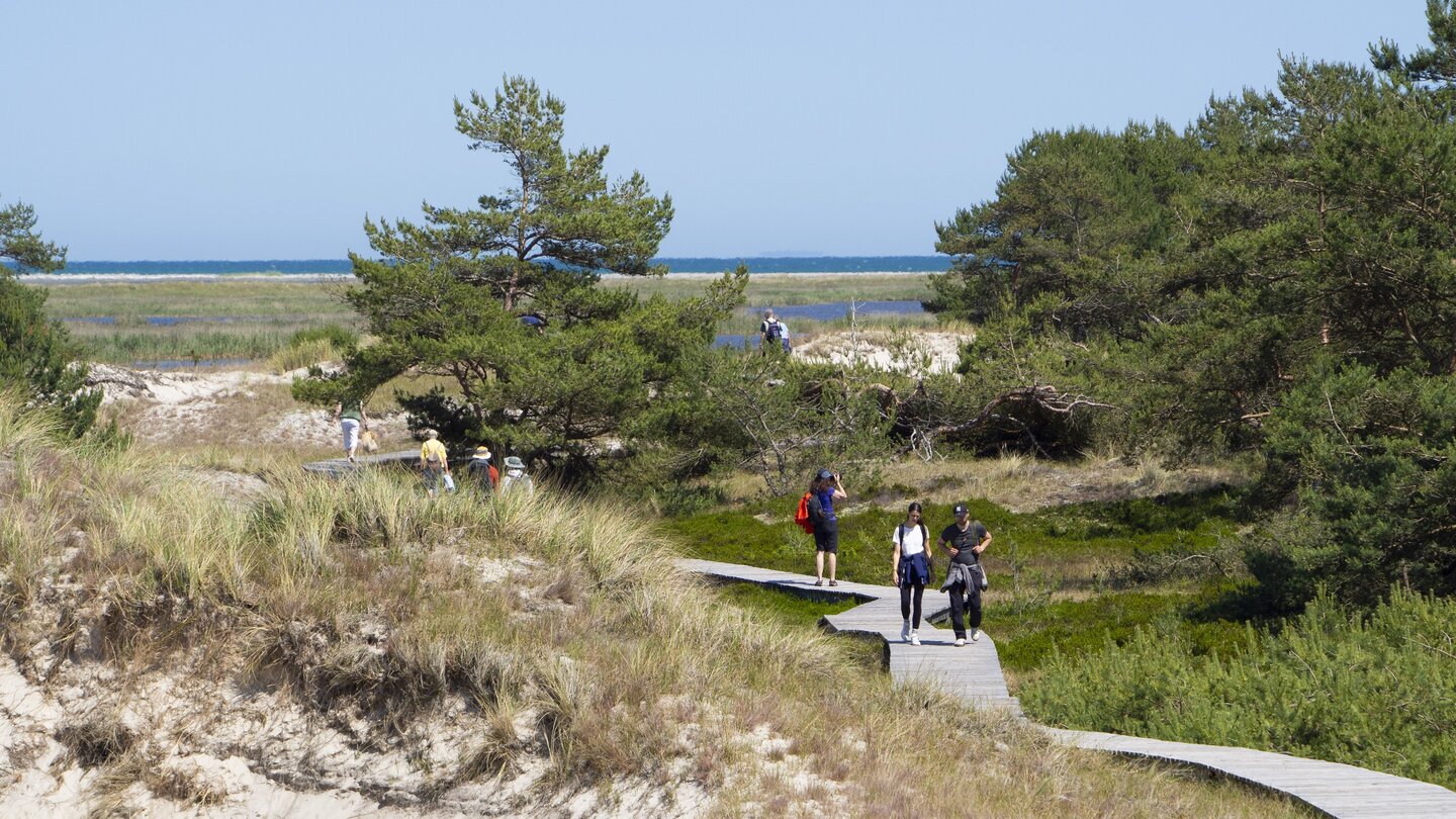 Dünensand und Meeresglitzern