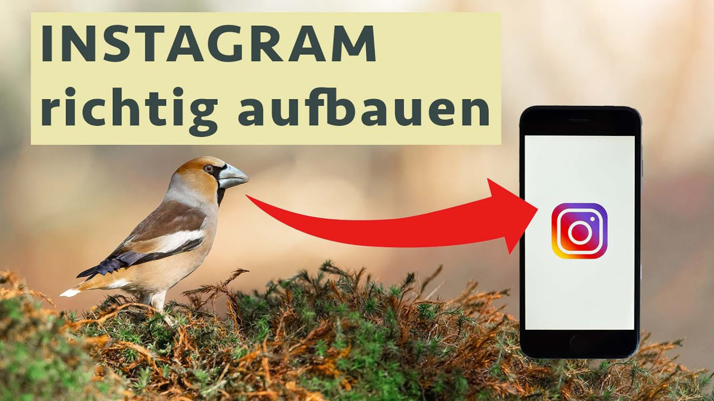 Insta, Reels und Reichweite – Tipps und Strategien